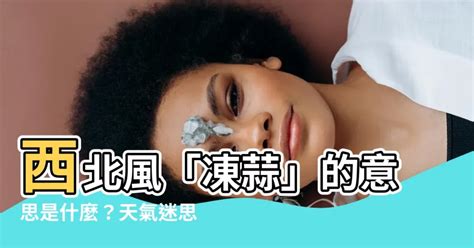 西北風意思|西北風 的意思、解釋、用法、例句